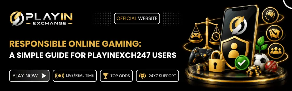 Responsible Online Gaming