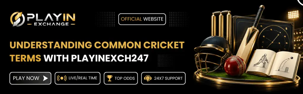 Common Cricket Terms